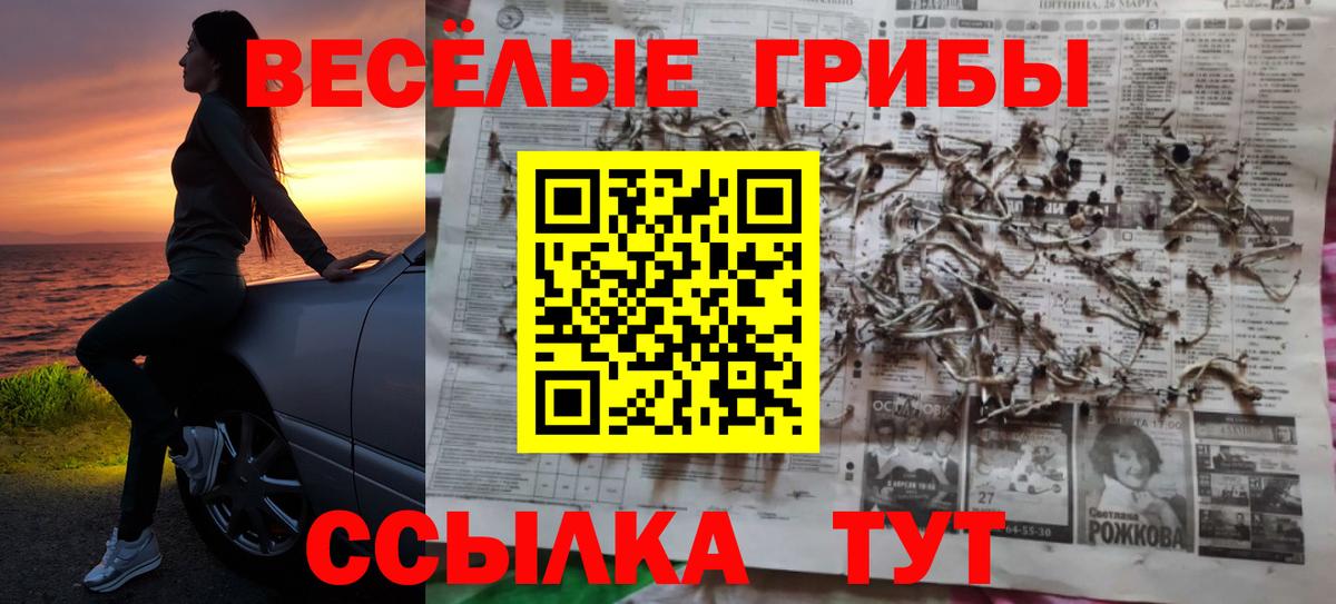 Псилоцибиновые грибы Psilocybine cubensis  Галлюциногенные грибы Psilocybine cubensis  Улан-Удэ 