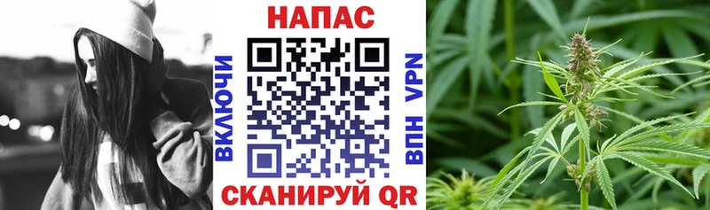 Бошки марихуана Ganja Улан-Удэ