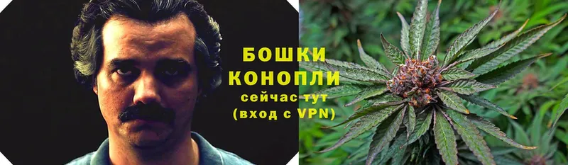 Бошки Шишки SATIVA & INDICA  Улан-Удэ 