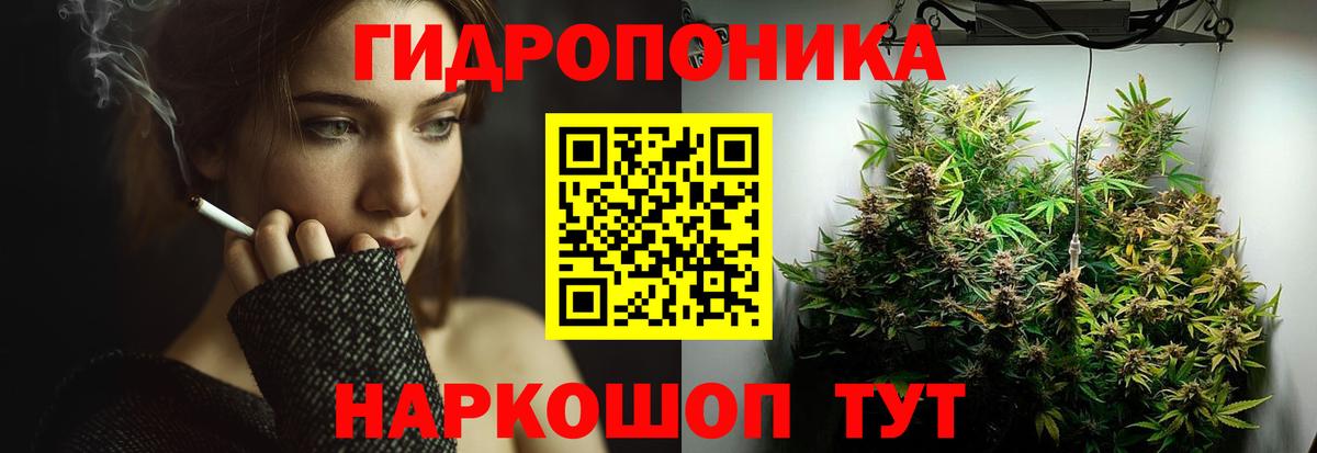 Бошки Шишки LSD WEED  Бошки марихуана LSD WEED  Вход с VPN  Улан-Удэ  Бошки Шишки тримм 